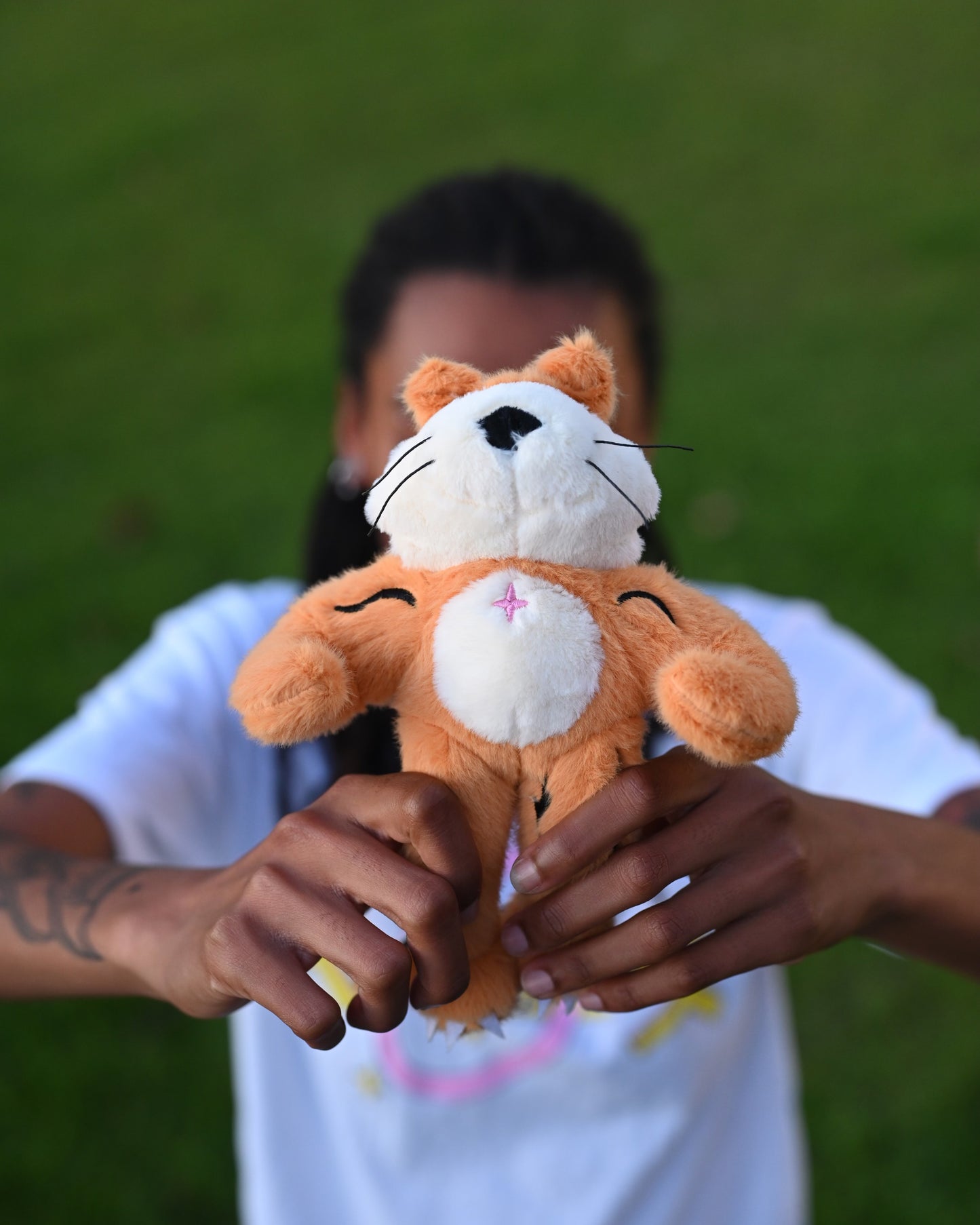 Milo the Tiger Plushie!